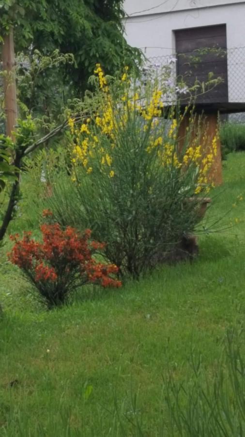 B & B Sentiero Valtellina Castello dell'Acqua エクステリア 写真