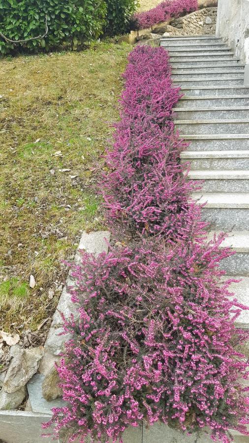 B & B Sentiero Valtellina Castello dell'Acqua エクステリア 写真