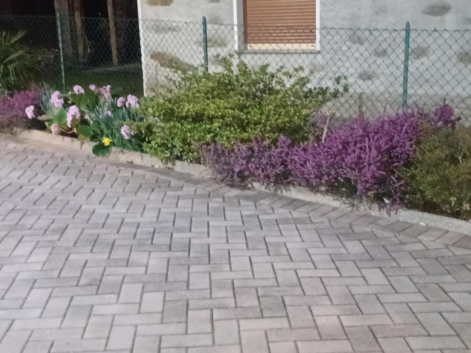 B & B Sentiero Valtellina Castello dell'Acqua エクステリア 写真